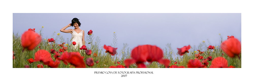 Premio Goya de Fotografía Profesional 2007
